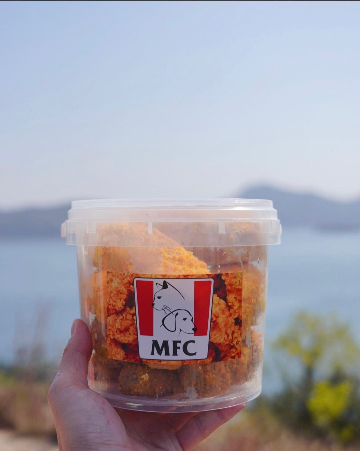 MFC 偽炸雞桶餐｜Meowolf Chicken Bucket