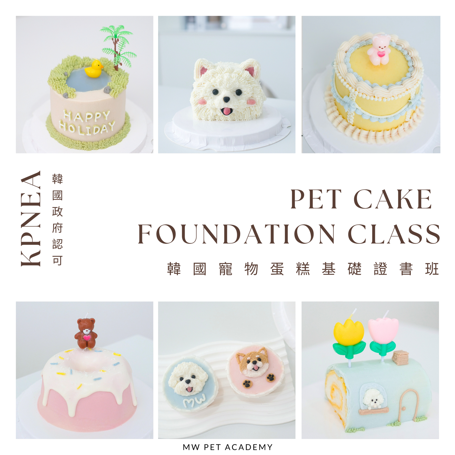韓國寵物蛋糕基礎證書課程 Pet Cake Foundation Class