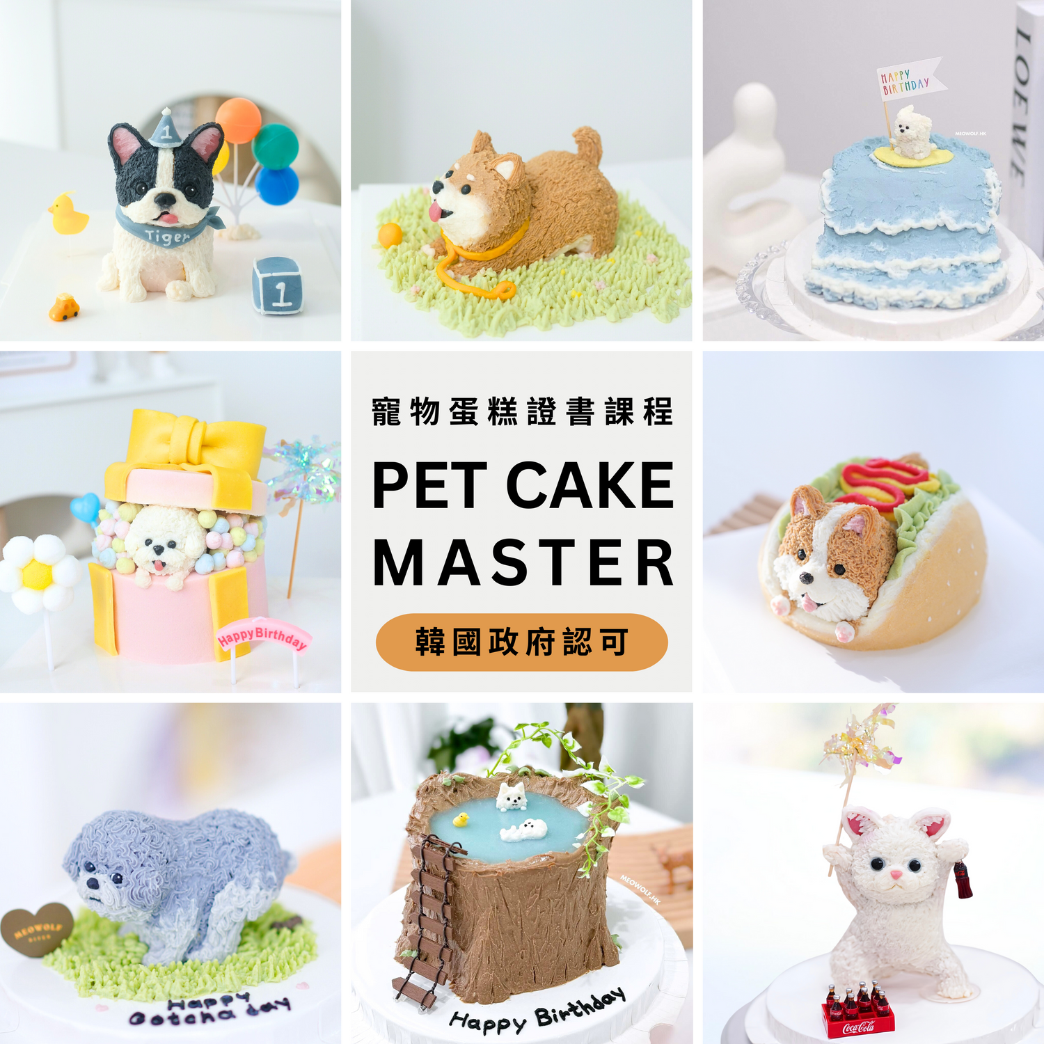 韓國寵物蛋糕專修證書課程 KPNEA Pet Cake Master Class