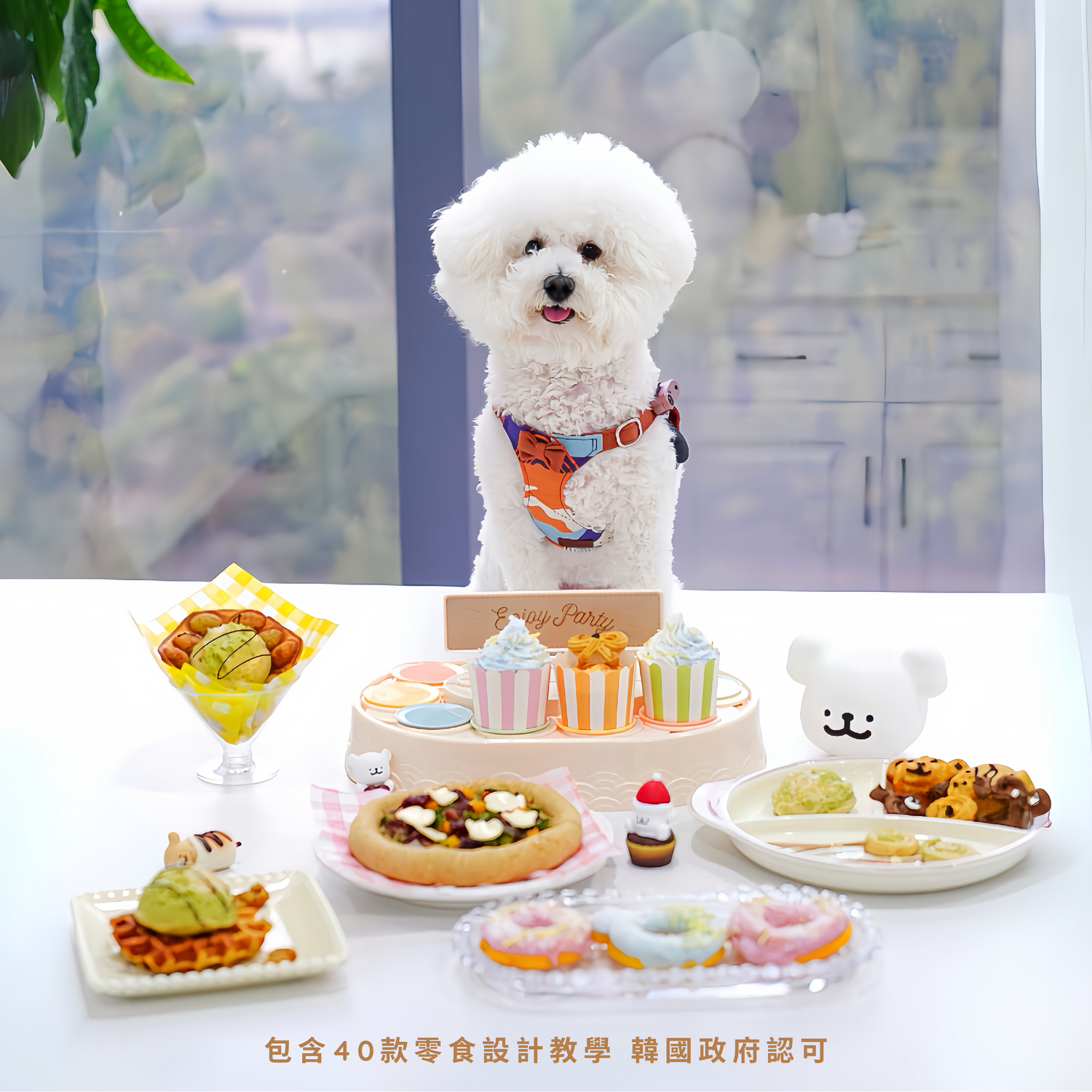 寵物零食及鮮食專家證書課程 KPNEA Pet Food Master Class